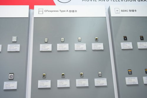 至譽科技2024 引領高速存儲新紀元，重塑數碼存儲卡未來